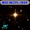 IRAS 06275-2019