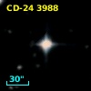 CD-24  3988