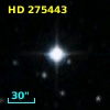 HD 275443