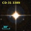 CD-31  3389