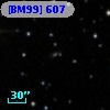 [BM99] 607