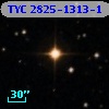TYC 2825-1313-1