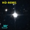 HD  46981
