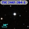 TYC 2447-204-1