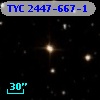 TYC 2447-667-1
