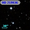HD 259836