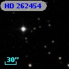 HD 262454