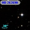 HD 262690