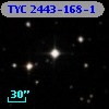 TYC 2443-168-1