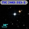 TYC 2443-313-1