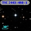 TYC 2443-480-1