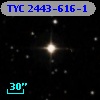 TYC 2443-616-1