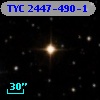 TYC 2447-490-1