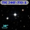 TYC 2447-733-1