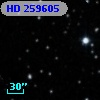 HD 259605