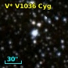 V* V1036 Cyg