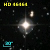 HD  46464