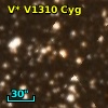 V* V1310 Cyg