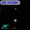 HD 262606