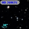 HD 260675