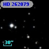 HD 262079