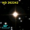 HD 262242
