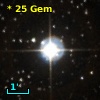 *  25 Gem