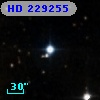 HD 229255