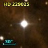 HD 229025
