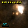 V* V1318 Cyg