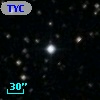 TYC 1884-1114-1