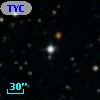TYC 1884-1225-1
