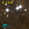 IC 1318