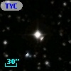 TYC 1338-1773-1