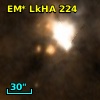 V* V1686 Cyg