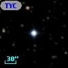 TYC 1333-73-1