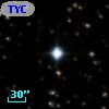TYC 1333-88-1