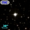 TYC 1333-97-1
