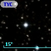 TYC 1333-169-1