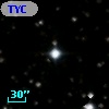TYC 1333-998-1