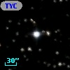 TYC 1334-2254-1