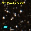 V* V1230 Cyg