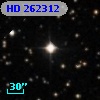 HD 262312