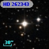 HD 262343