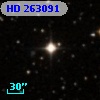 HD 263091