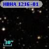 HBHA 1216-01