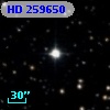 HD 259650