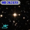 HD 262173