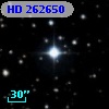 HD 262650