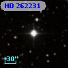 HD 262231